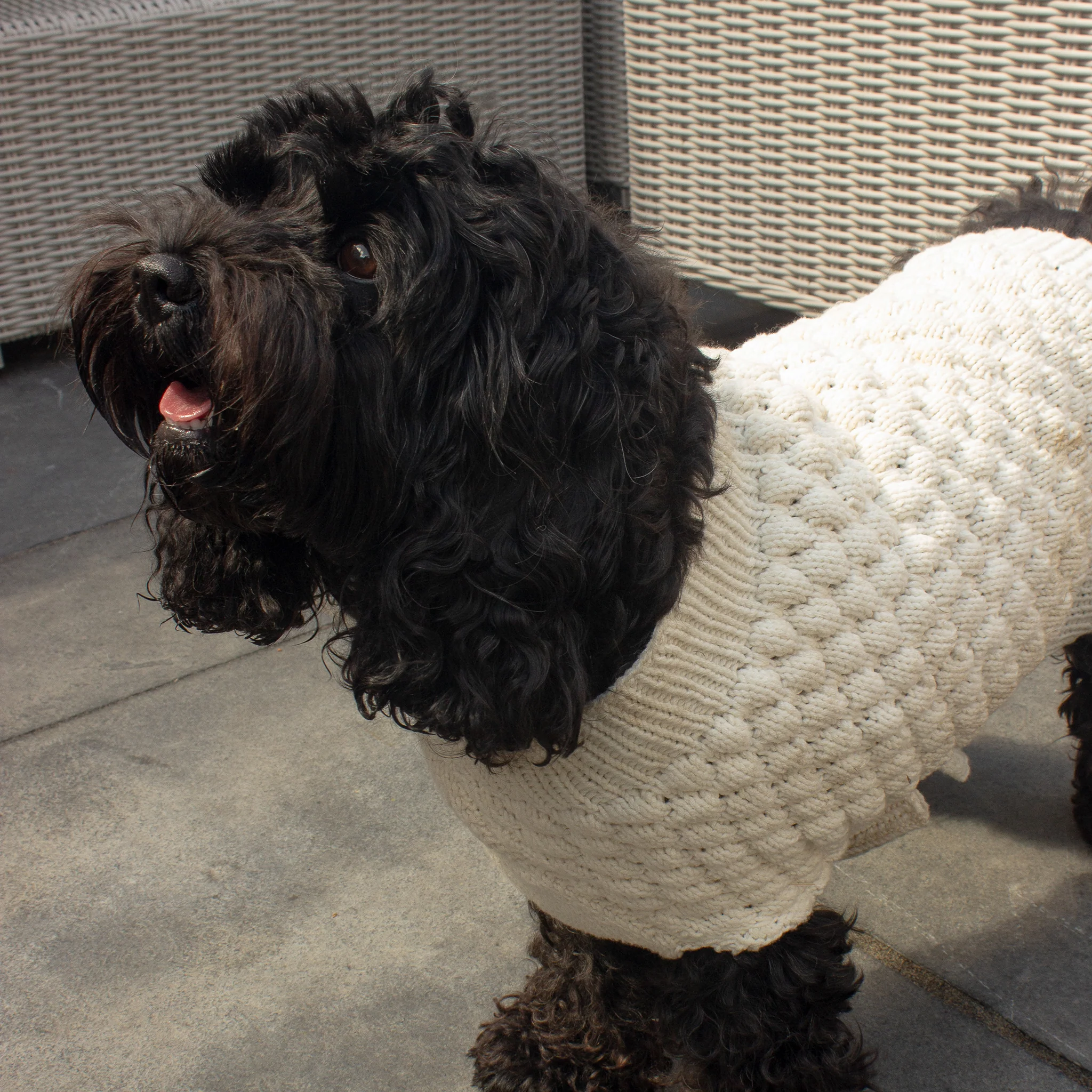 Knitted Bubble Pet Sweater Downloadable Pattern - Image 4